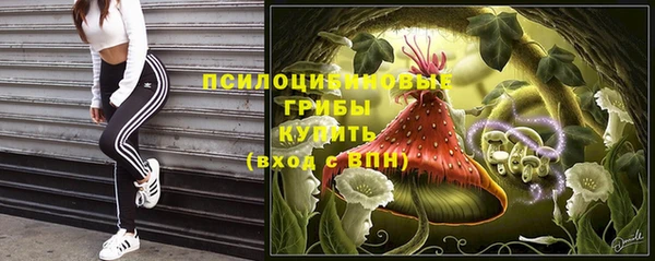 крисы Киреевск