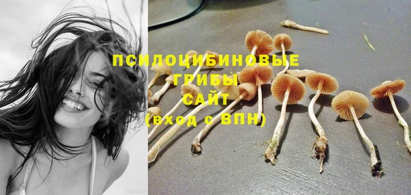 дживик Карталы