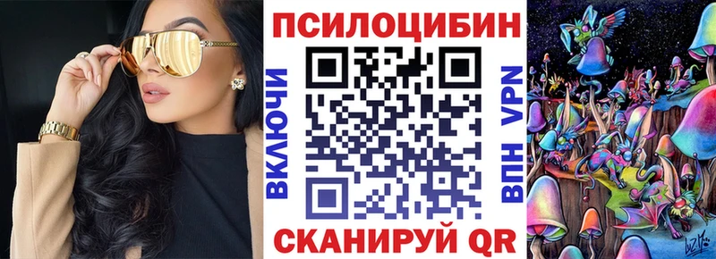 Галлюциногенные грибы Cubensis  где найти   Почеп 